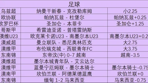 瓦伦西亚欲送走阿，开云体育赞助，尔梅达，斯旺西报价已至门庭